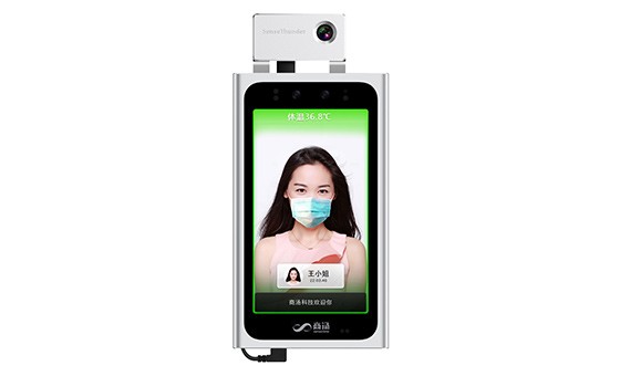 hsmini